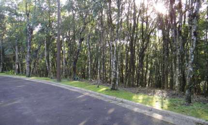 Terreno à venda no Bairro Vila Nova de Gaia com 800 m² de área privativa