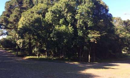 Terreno à venda no Bairro Vila Suzana com 1622 m² de área privativa
