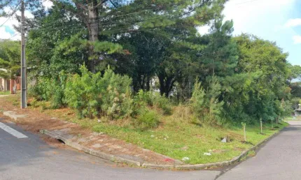 Terreno à venda no Bairro São Rafael com 593 m² de área privativa