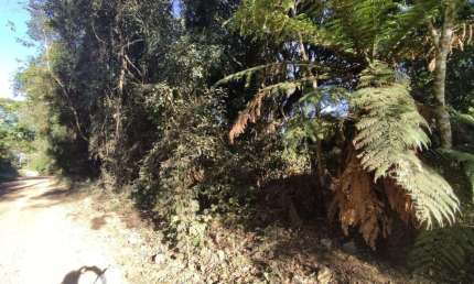 Terreno à venda no Bairro Alpes Verdes com 789 m² de área privativa