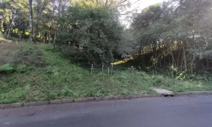 Terreno à venda no Bairro Santa Terezinha com 613 m² de área privativa