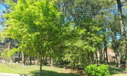Terreno à venda no Bairro Lagos de Gramado com 1242 m² de área privativa