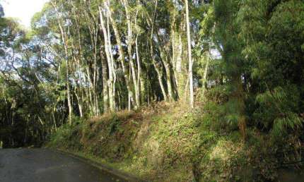 Terreno à venda na Rua Prefeito Waldemar F. Weber, s.n, Vale do Bosque, Gramado