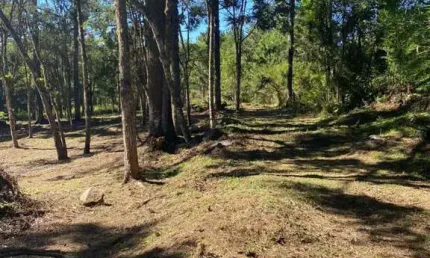 Area de terra à venda no bairro carniel com 14000 m² de área privativa