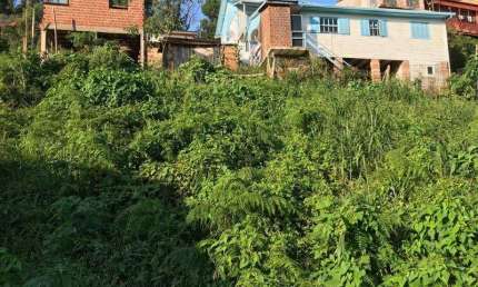 Terreno à venda no Bairro Prinstrop com 313 m² de área privativa