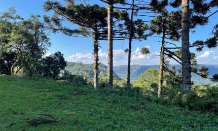 Area de Terra à venda no Bairro Três Pinheiros com 16500 m² de área privativa