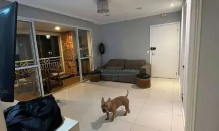 Apartamento à venda, 87 m² por r$ 800.000,00 - vila andrade - são paulo/sp