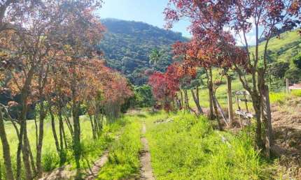 Sitio toledo minas Gerais Com uma área total de 38.720.00m² equivalente a 03,87,20ha (alqueires)