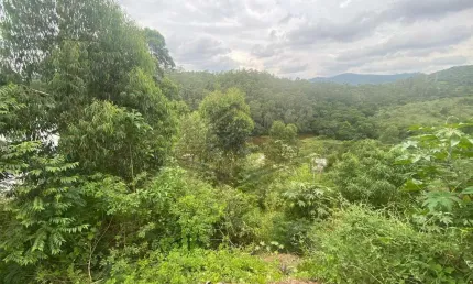 Terreno à venda na Alameda Marquesa de Santos, São Vicente, Mairiporã