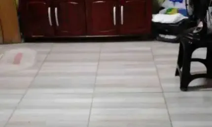 Casa com 3 quartos à venda no Jardim Mendonça, Bauru 