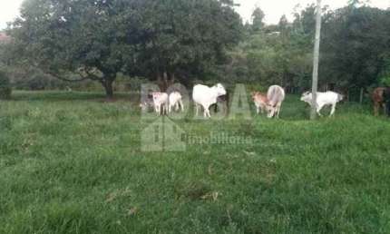 Fazenda para venda com 8 alq. e 2 quartos em PARQUE FERRADURA MIRIM, Bauru - SP