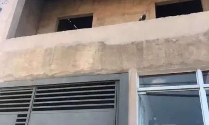 Casa com 2 quartos à venda na Vila Industrial, Bauru 