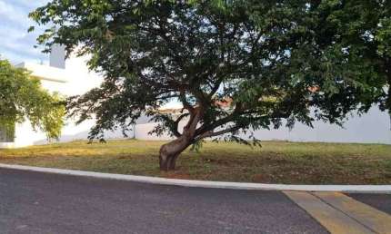 TERRENO EM CONDOMINÍO em QUINTA RANIERI, (Bauru) - SP