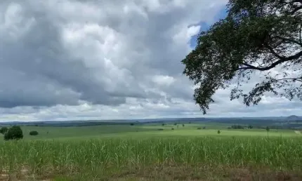 Fazenda à venda na Zona Rural, Ribeirão Bonito 
