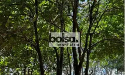 Chácara / sítio com 4 quartos à venda na Zona Rural, Piratininga 