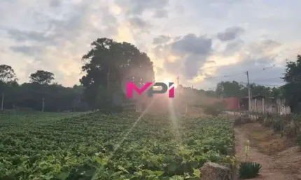 Vende-se Chácara entre Itupeva e Indaiatuba , com nascente de agua e plantação de uva