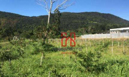 Terreno à venda, 5000 m² por R$ 2.700.000,00 - Santo Antônio de Lisboa - Florianópolis/SC
