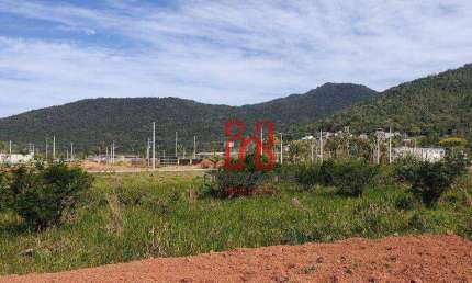 Terreno à venda, 450 m² por R$ 600.000,00 - Vargem Do Bom Jesus - Florianópolis/SC