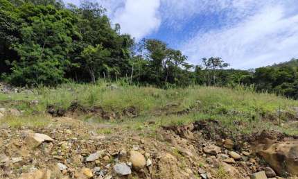 Terreno à venda, 487 m² por R$ 700.003 - Ingleses do Rio Vermelho - Florianópolis/SC