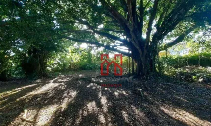 Terreno à venda, 1583 m² por r$ 1.670.000,00 - cachoeira do bom jesus - florianópolis/sc