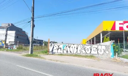Terreno comercial para alugar na Br-101 Km 202, Ipiranga, São José, 19499 m2 por R$ 90.000
