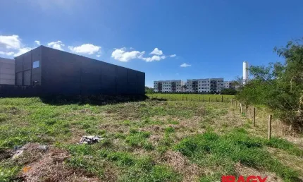 Terreno comercial para alugar na Da Tecnologia, 84, Aririu, Palhoça