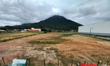 Terreno comercial para alugar na Rua Manoel João Martins, Praia de Fora, Palhoça, 3645 m2 por R$ 12.000