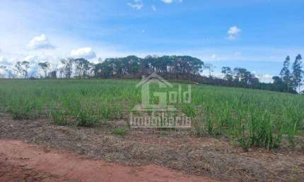 Sítio à venda com 52 Alqueires por R$ 5.800.000 - Zona Rural - Tambaú/SP
