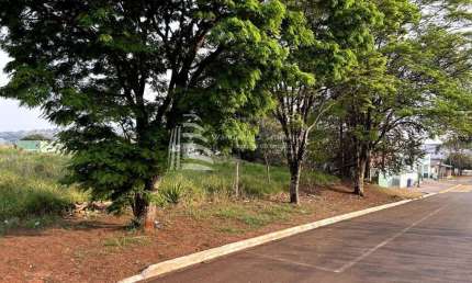 Terreno comercial à venda na Rua Paranavaí, 509, Centro, Ibema