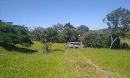 Chácara / sítio com 6 quartos à venda na Rodovia Antônio Romano Schincariol, Vila Itapetininga, Itapetininga
