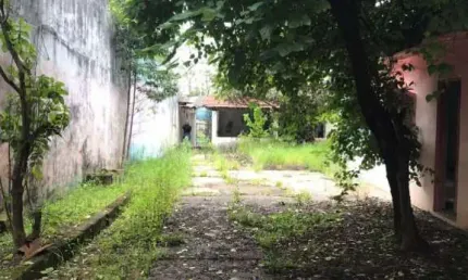 Terreno à venda, 500 m² - 10x50 - rua mmdc - paulicéia - são bernardo do campo/sp