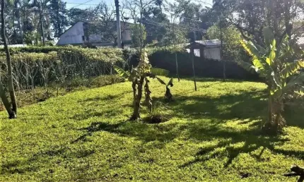 Terreno à venda, 1.050 m² (21 x 50) - Riacho Grande - São Bernardo do Campo/SP