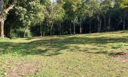 Terreno à venda, 1399 m² por R$ 350.000,00 - Riacho Grande - São Bernardo do Campo/SP