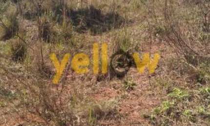 Terreno Rural à Venda em Santa Isabel - 1000m² por R$120.000