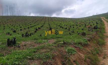 Terreno Residencial em Pouso Alegre  -  Santa Isabel