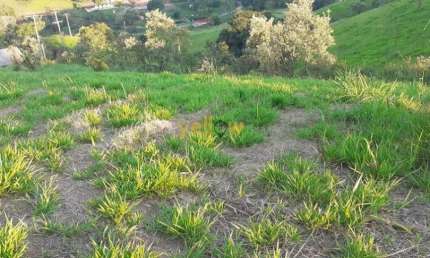 Chácara / sítio à venda em Jaguarí, Santa Isabel 