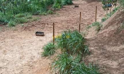 Chácara / sítio com 2 quartos à venda no Penhinha, Arujá 