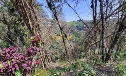 Terreno Rural em Aralu - Santa Isabel: Venda e Locação por R$155.000