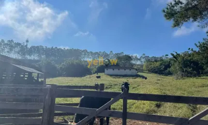 Fazenda à venda no Boa Vista, Igaratá 
