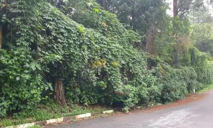 Terreno em condomínio arujázinho i, ii e iii - venda por r$ 375.000.