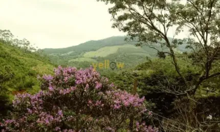 Chácara em Bairro Da Pedra Branca - Santa Isabel com 200m², 3 dormitórios e 3 banheiros por R$380.000 - Venda .