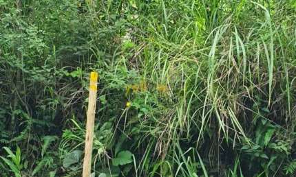 Se você está em busca de um lugar tranquilo e afastado da correria da cidade para construir a casa dos seus sonhos ou investir em um negócio rural, este terreno rural em Morro Grande - Santa Isabel é 
