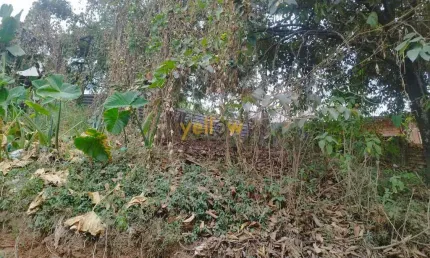 Terreno residencial em jardim silvestre - itaquaquecetuba: venda e locação por r$130.000