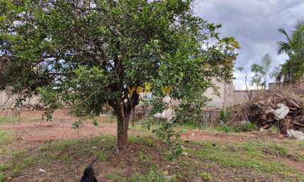 Terreno Residencial em Vila Gumercindo - Santa Isabel: Venda por R$ 1.800.000