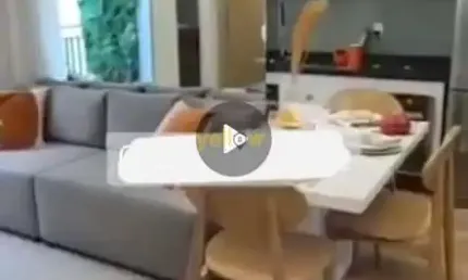 Apartamento com 1 quarto à venda na Vila Rosália, Guarulhos 