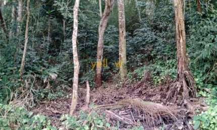 Terreno Rural à Venda em Recanto das Gaivotas - Santa Isabel