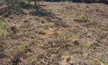 Terreno em Condomínio à Venda em Ouro Fino - Santa Isabel