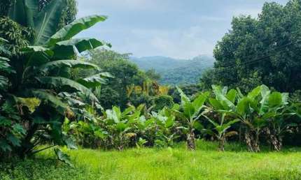 Chácara / sítio à venda no Mirante do Arujá, Arujá 