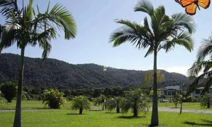Terreno residencial à venda, acapulco, guarujá - te0167.