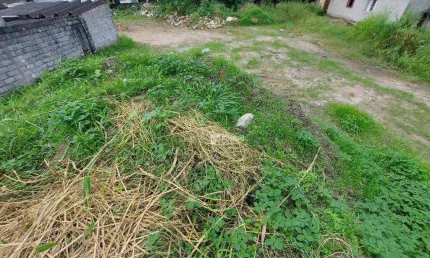 Terreno plano à venda a poucos metros da Praia da Enseada com 1.639 m² de área de terreno em Zona Mista. Ótima localização!!